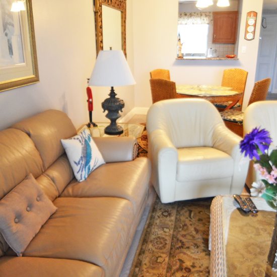 CSE Properties – Turtle Lakes Living Room with Italian Leather Sofa